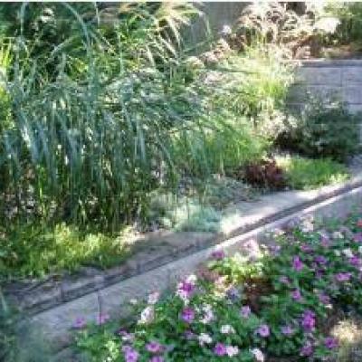 Fabulous garden - Ward Hill home for sale - Staten Island New York