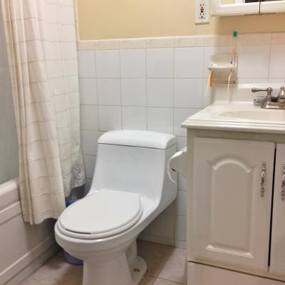 Bathroom of Spacious Townhouse Style Condo For Sale In Graniteville, Staten Island, NY